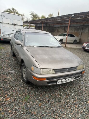 тайлта каролла: Toyota Corolla: 1992 г., 1.3 л, Автомат, Бензин, Седан