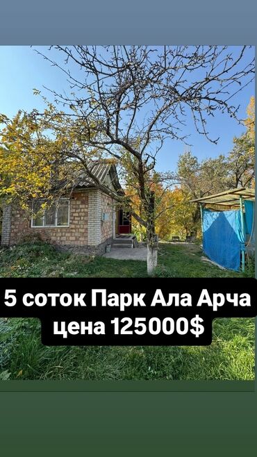 дом ысык кол: 5 соток, Бизнес үчүн, Башкы ишеним кат