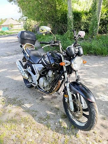 Мотоциклы: Классический мотоцикл Yamaha, 250 куб. см, Бензин, Взрослый, Б/у — 1