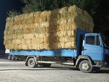 тахси портер: Арпа саман сатылат доставка мн Караколдо туктору чон 1 метр