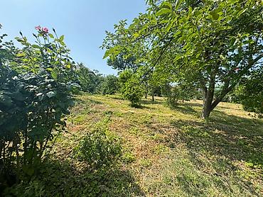 midada ev satilir: 12 sot, Tikinti, Mülkiyyətçi, Kupça (Çıxarış) — 7