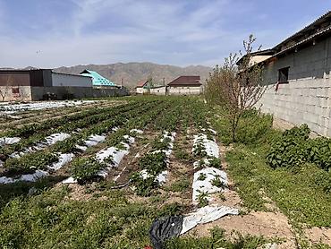 Продажа участков: 7 соток, Для строительства, Красная книга, Тех паспорт — 3