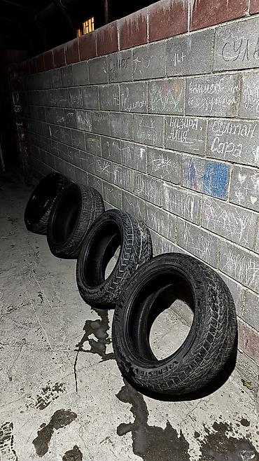 шины 255 55 r19 зима: Шины 255 / 55 / R 19, Зима, Б/у, Комплект, Внедорожные (АТ/МТ), Россия, VREDESTEIN — 1