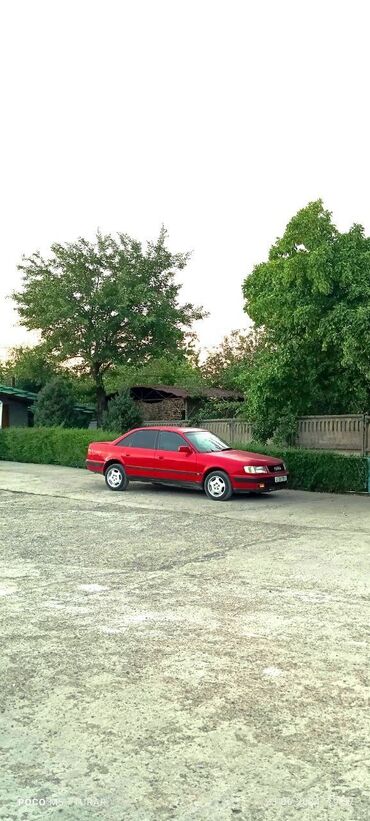 Audi: Audi 100: 1991 г., 2 л, Механика, Бензин, Хэтчбэк