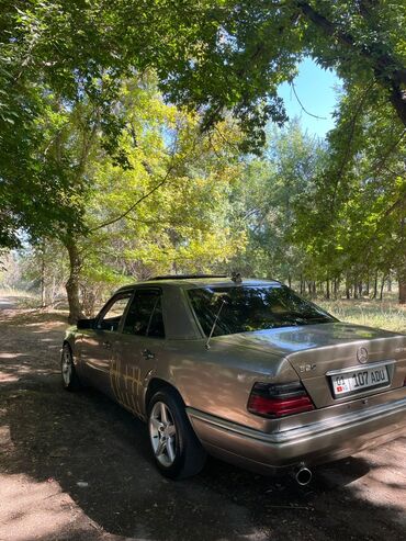 машина ешка: Mercedes-Benz 320: 1995 г., 3.2 л, Механика, Бензин, Седан