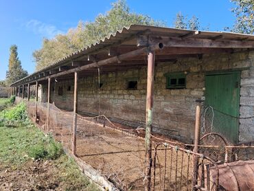 Torpaq sahələrinin satışı: Tikinti — 10