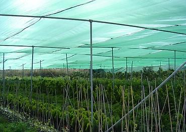 Затеняющие сетки: Затеняющие сетки, Платная доставка — 13