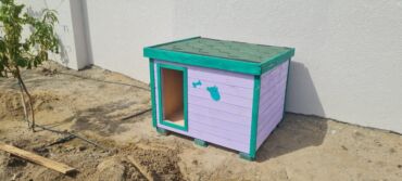 Yuvalar: It və pişik yuvaları — 13