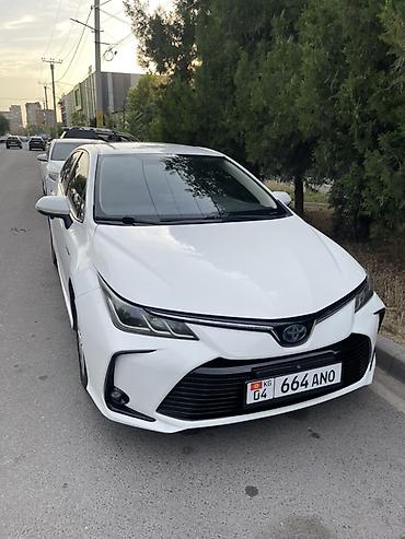 полик 5 д: Бампер Toyota, Новый, Оригинал — 2
