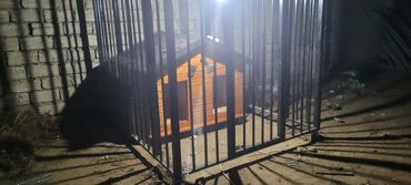 Qəfəslər: Məhsul: İt üçün açıq havada volyer və taxta it evi - Konstruksiya — 1