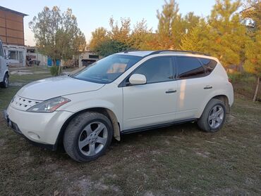 Nissan: Nissan Murano: 2004 г., 3.5 л, Автомат, Газ, Внедорожник