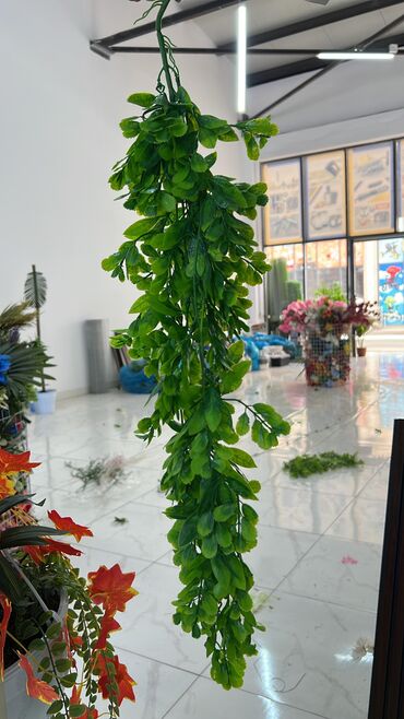 Digər ev dekoru: 5 man baslayan qiymetler Minumal qiymetler topdan ve perakenden satis -da lalafo.az — 22 Digər ev dekoru: 5 man baslayan qiymetler Minumal qiymetler topdan ve perakenden satis — 22