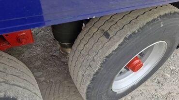 Прицепы и полуприцепы: Прицеп, Schmitz Cargobull, Холодильник, рефрижератор, от 12 т, Б/у — 9