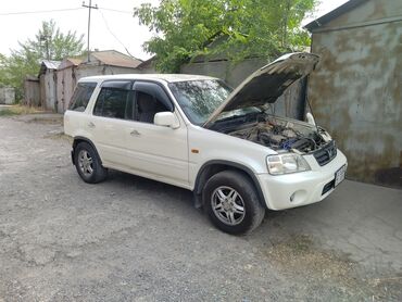 Продаю гараж: Профессиональная чистка форсунок. Чистка форсунок на стенде. Чистка — 3