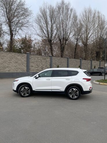 Hyundai: Hyundai Santa Fe: 2019 г., 2 л, Автомат, Бензин, Хэтчбэк — 3