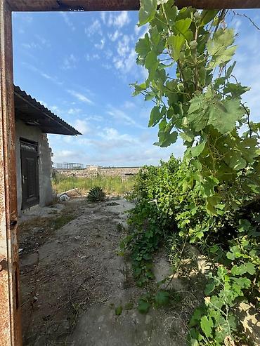 baq evlerinin satisi: 2 otaqlı, 48 kv. m, Kredit yoxdur, Təmirsiz — 10