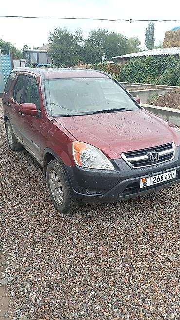 продажа срв: Honda CR-V: 2003 г., 2 л, Автомат, Бензин, Универсал — 2