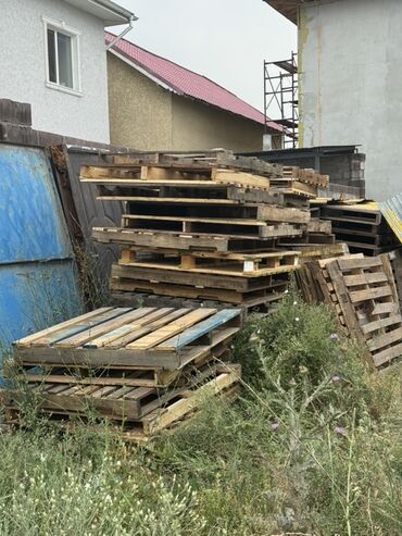 сколько стоит грецкий орех очищенный: Поддон Б/у, В наличии