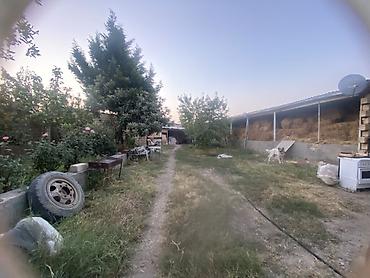 Həyət evləri və villaların satışı: 1 otaqlı, 10 kv. m -da lalafo.az — 16 Həyət evləri və villaların satışı: 1 otaqlı, 10 kv. m — 16