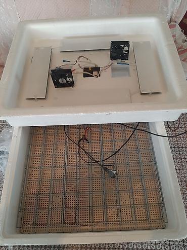 toyug cucə: 100 yumurta, Rusiya, Fabrik istehsalı, Tam avtomat, Bütün növ quşlar üçün — 4