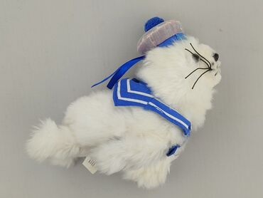 Mascot condition - Very good