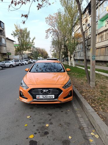 продаю хюндай саната: Hyundai Sonata: 2019 г., 1.9 л, Автомат, Газ, Седан