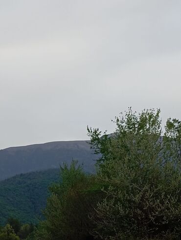 Torpaq sahələrinin satışı: 12 sot, Kənd təsərrüfatı, Mülkiyyətçi, Kupça (Çıxarış), Bələdiyyə -da lalafo.az — 3 Torpaq sahələrinin satışı: 12 sot, Kənd təsərrüfatı, Mülkiyyətçi, Kupça (Çıxarış), Bələdiyyə — 3