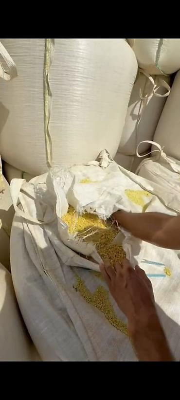 цветв: Сера комовая/гранулированная техническая. - Тип продукта: сера — 3