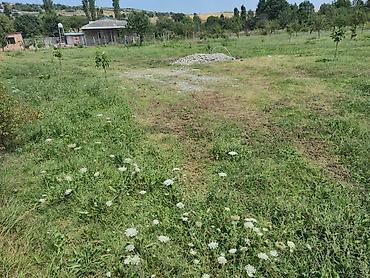 Torpaq sahələrinin satışı: 25 sot, Tikinti, Mülkiyyətçi, Kupça (Çıxarış) — 14