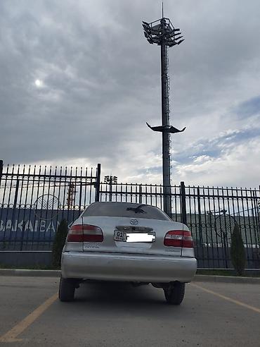 corolla runx: Toyota Corolla: 1998 г., 1.5 л, Автомат, Бензин, Седан — 4