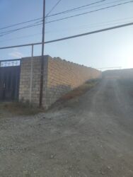 Bağ və bostan üçün digər məhsullar: Qobuda arkodan 1km metir məsafədə asvaltdan 20 metir içəridir 8 — 13