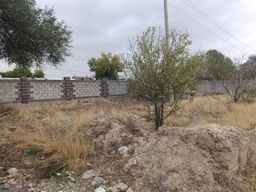 продается орошаемая земля в жайылско районе алтыр будёновка 5 40 гектар цена договорная с довой проблем нету оформление сразу: 6 соток, Красная книга
