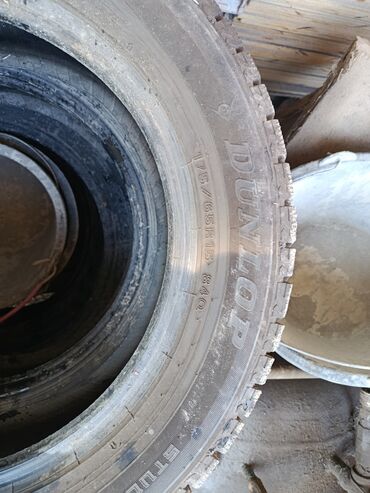 шина 14 размер: Шиналар 175 / 65 / R 15, Кыш, Комплект, Жеңил унаалар, Dunlop
