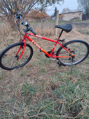 фикс рама s: Шаардык велосипед, Велосипед алкагы M (156 - 178 см), Колдонулган