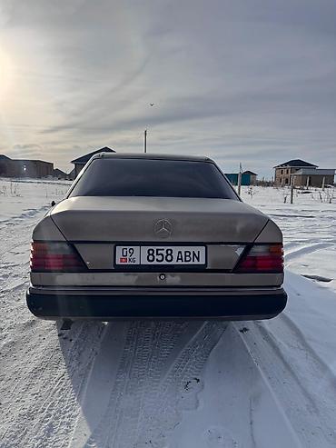Mercedes-Benz: Mercedes-Benz W124: 1993 г., 2 л, Механика, Бензин, Седан — 10