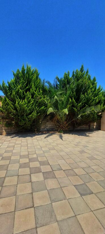 Həyət evləri və villaların satışı: Fatmayı 3 otaqlı, 120 kv. m, Kredit yoxdur, Yeni təmirli -da lalafo.az — 6 Həyət evləri və villaların satışı: Fatmayı 3 otaqlı, 120 kv. m, Kredit yoxdur, Yeni təmirli — 6