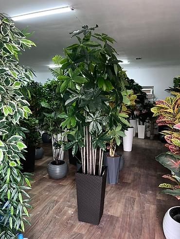 Декоративные цветы: 🌿 Mayram Decor KG — искусственные деревья, цветы и зелёные композиции — 12
