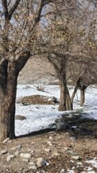 куплю дом в селе арашан: Үй, 50 кв. м, 3 бөлмө