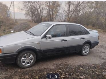 лобовое стекло опель вектра б: Volkswagen Passat: 1992 г., 1.8 л, Механика, Бензин, Седан