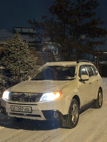 Subaru: Subaru Forester: 2009 г., 2.5 л, Типтроник, Бензин, Кроссовер