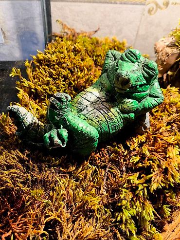 Зоотовары: 🌿 Украшения и декорации для аквариумов и террариумов 🌿 Продаю — 16