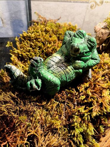 Зоотовары: 🌿 Украшения и декорации для аквариумов и террариумов 🌿 Продаю — 14