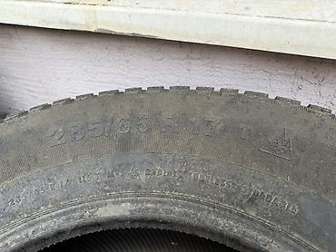 зимнее: Шипованная зимняя шина 285/65 R17 T - Тип: легковая/внедорожная — 2