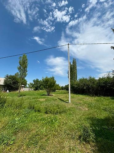 Жер тилкелери: 15 соток, Курулуш, Кызыл китеп — 2
