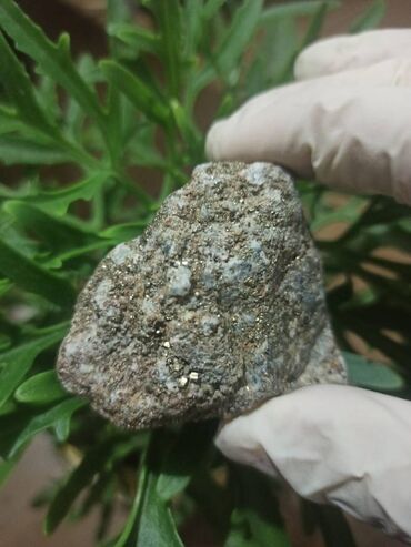 гюльнара умудова английский язык pdf: 💎 Təbii Pirit daşı😍 Qiymətlə bağlı maraqlananlar direktə yazsın📥