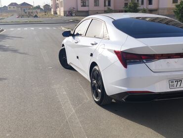 Hyundai: Hyundai Elantra: 1.6 l | 2021 il Sedan — 13