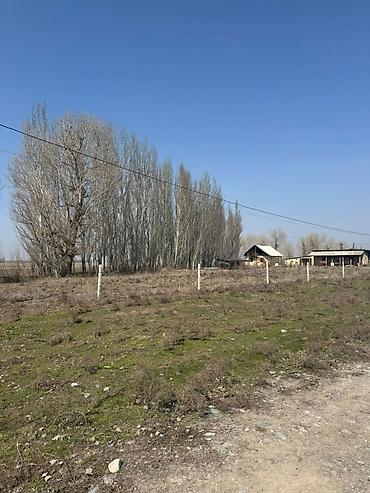 Сдаю кошару в аренду сарай 90м есть дом для рабочих и для хозяина — 1