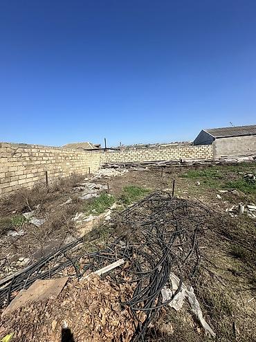 kupça: 6 sot, Tikinti, Maklerlər narahat etməsin, Kupça (Çıxarış) — 5