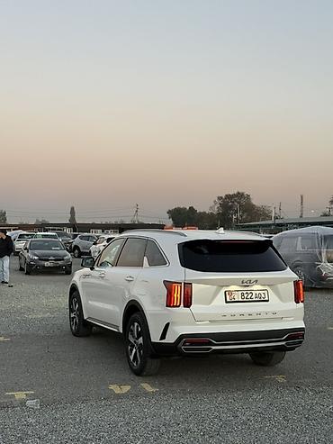 prava srs: Kia Sorento: 2022 г., 2.2 л, Автомат, Дизель, Кроссовер — 10