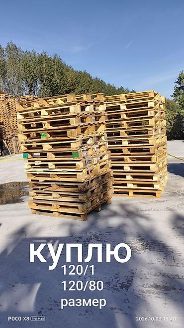 Куплю паддоны 
паддон сатып алабыз